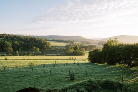 Natural landscape, View (from property/room), Mountain view