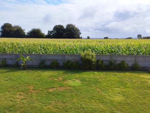 Studio avec jardin, classé meublé de tourisme Apartment in Plérin