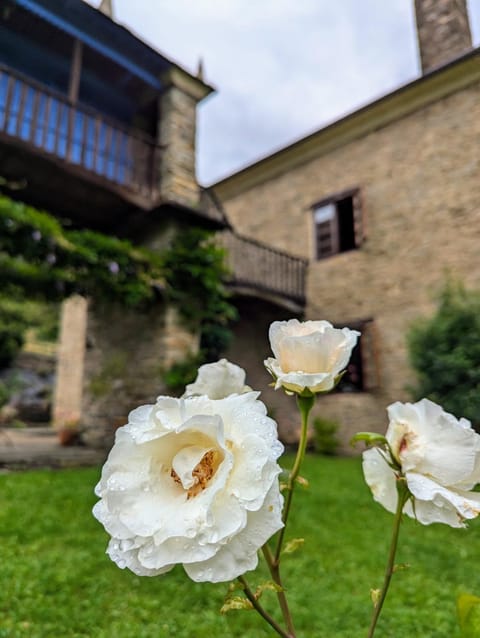 Property building, Spring, Day, Garden, Garden view