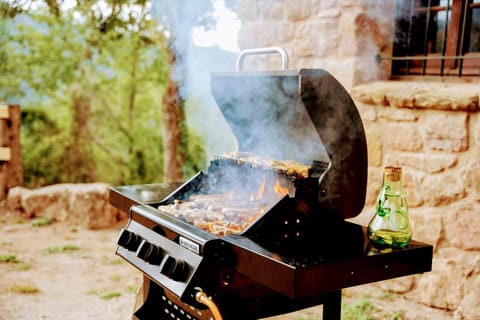 BBQ facilities, Garden