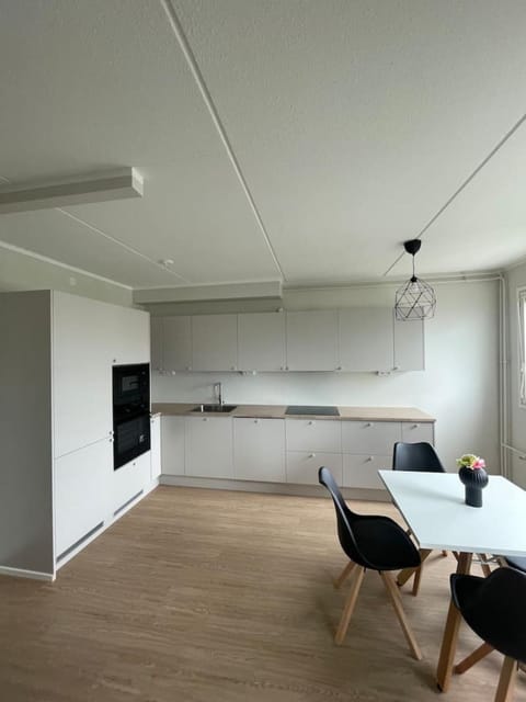 2 Br, Sauna, Group travel, Free Apartment in Helsinki