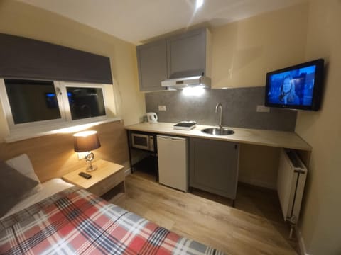 Bed, TV and multimedia, Kitchen or kitchenette, Photo of the whole room, Bedroom, minibar, stove