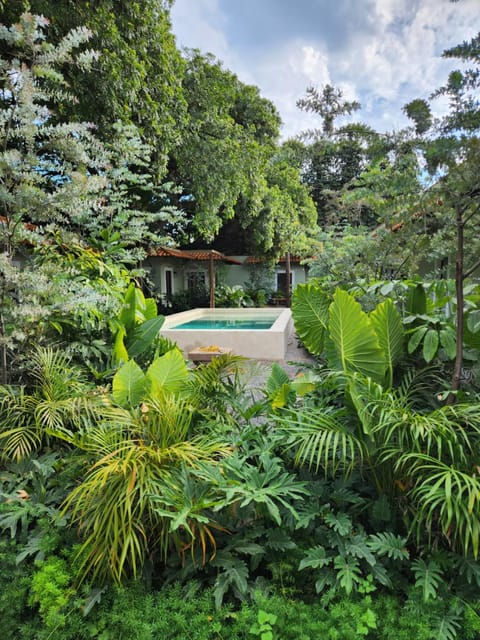 Garden view, Pool view