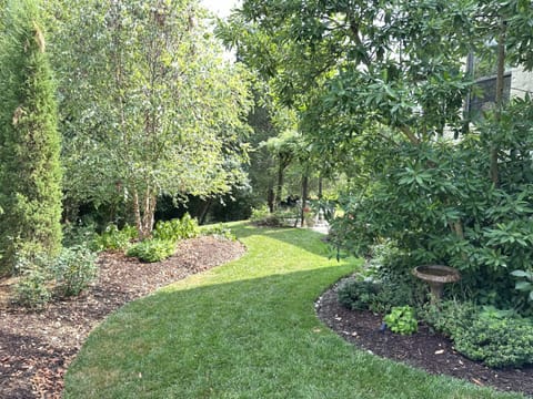 Natural landscape, Garden, View (from property/room), Garden view