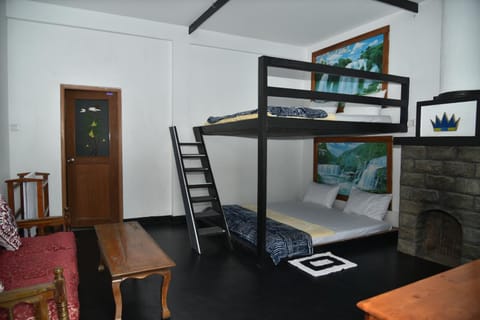 Bed, Photo of the whole room, Seating area, bunk bed