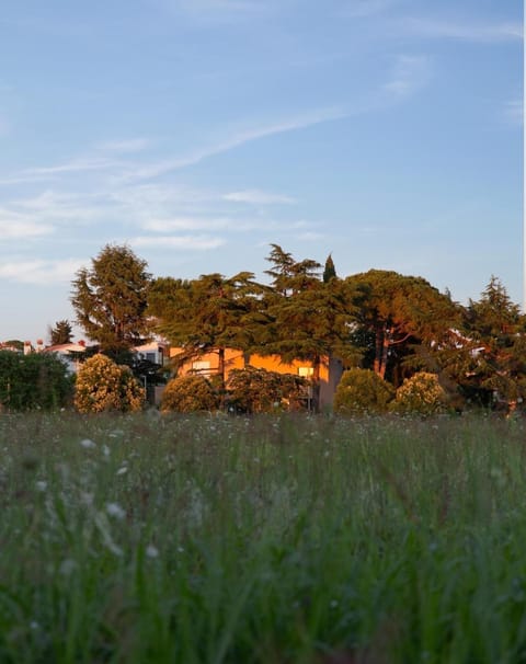 VALDORA - Luxury villa with heated pool Villa in Novigrad