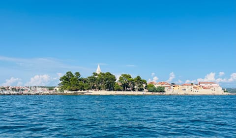 Valdora luxury villa with pool Villa in Novigrad