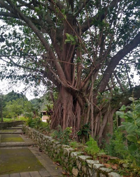 Pousada Graham Bell Auberge in Miguel Pereira