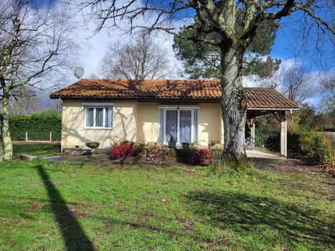 Property building, Garden view