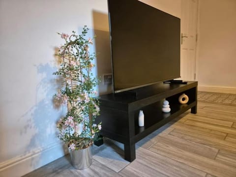 Communal lounge/ TV room, TV and multimedia