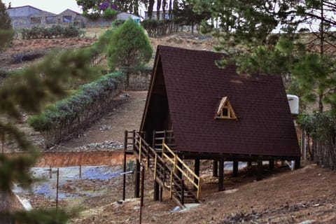 Cabañas El Manzano Cabaña Alpina Chalet in State of Querétaro