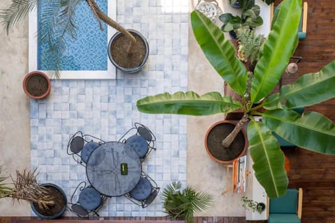 Patio, Garden view