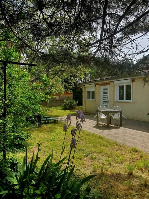 Patio, Facade/entrance, Garden, Garden view