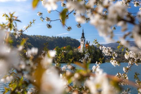 Nearby landmark, Natural landscape, Lake view, Mountain view