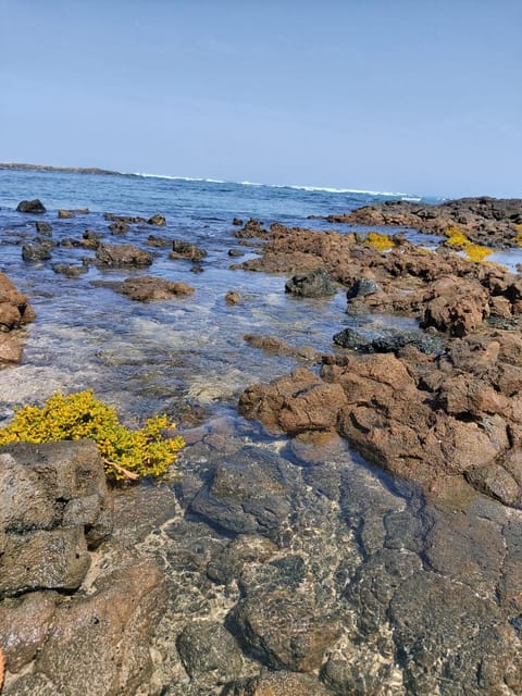 El Charco Apartment in Isla de Lanzarote