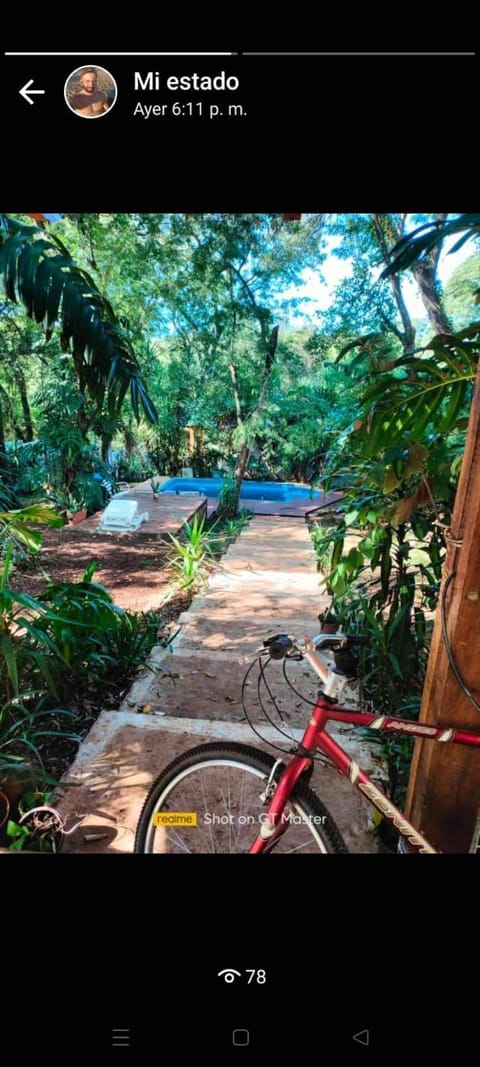 Day, Natural landscape, Cycling