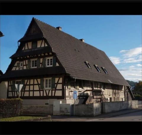 Ferienwohnung mit Schlossblick Apartment in Offenburg