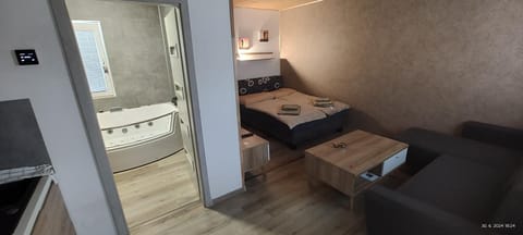 Bed, Bathroom, Living room, Photo of the whole room