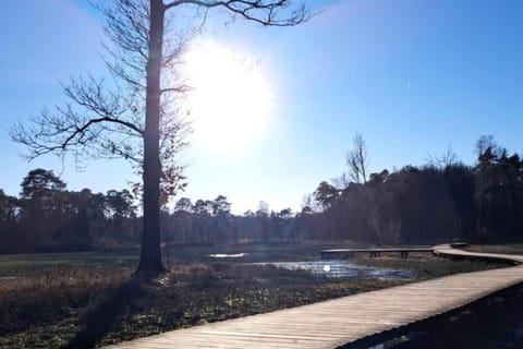 Heerlijke huisje Veluwe House in Epe