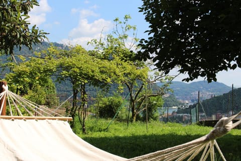 villa del sole Villa in Cernobbio