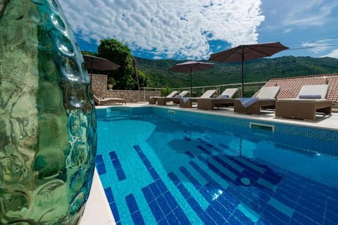 Vacation home with Private heated Pool House in Dubrovnik-Neretva County