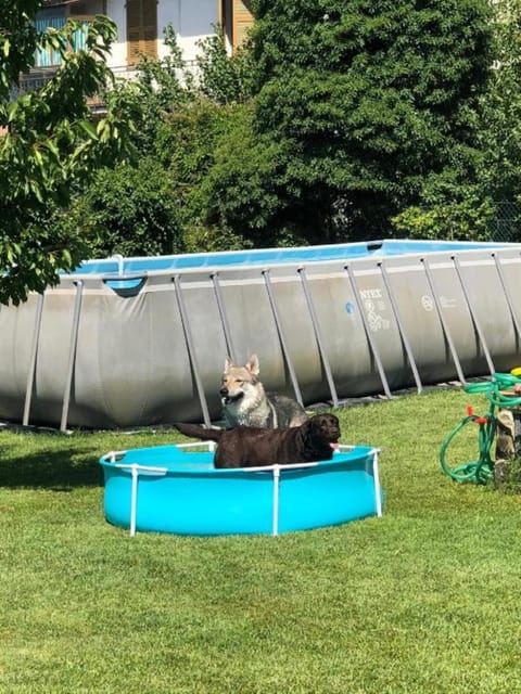 Pool view