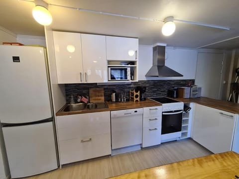 Kurren tupa linnunlaulun keskellä, saunomismahdollisuus Apartment in Finland