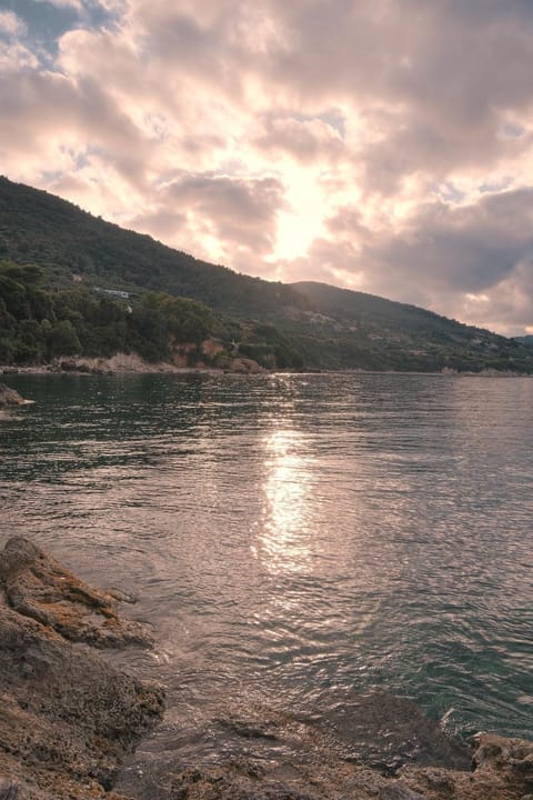 Natural landscape, Garden view, Sea view