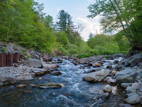 Private Cabin by River with Fireplace By Summer House in Shandaken