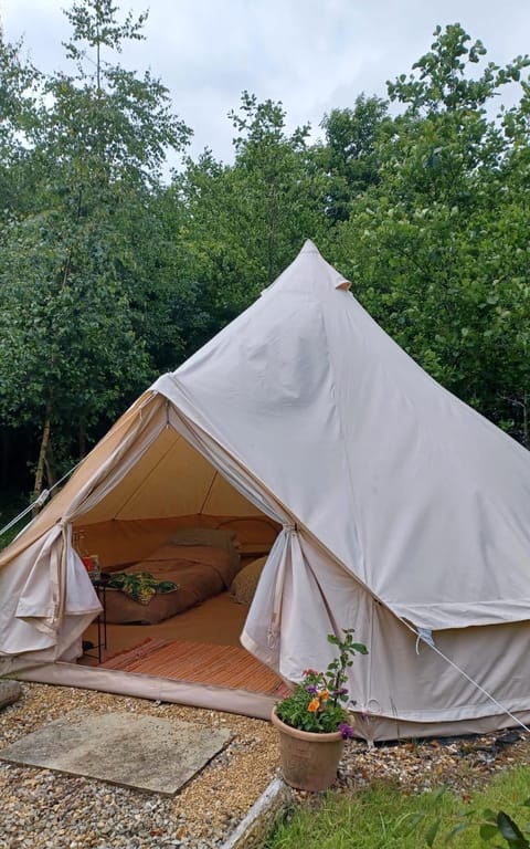 Little Wood bell tent Luxury tent in County Waterford