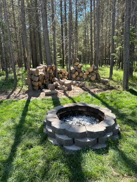 Brand new Bills Island cabin House in Island Park