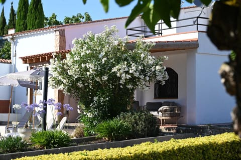 Property building, Day, Garden, Garden view