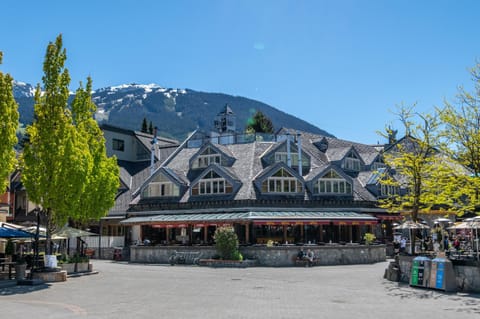 The Nest, Central, Luxury Unit, Free Parking Apartment in Whistler