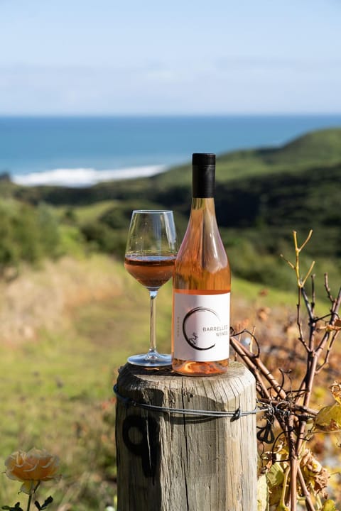 Barrique Studio with Sauna at Barrelled Wines Raglan Apartment in Raglan