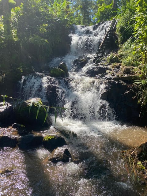 Nearby landmark, Natural landscape