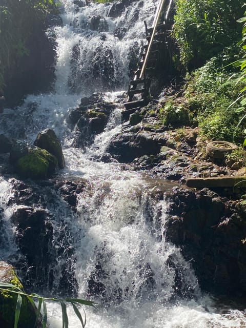 Nearby landmark, Natural landscape