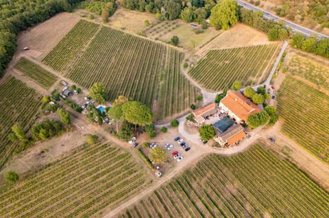 Bird's eye view, Garden