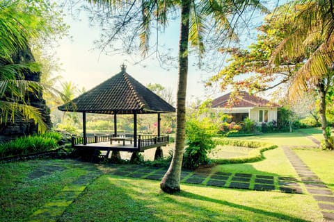 Garden, Garden view