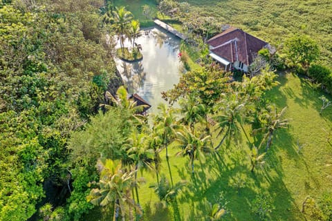 Natural landscape