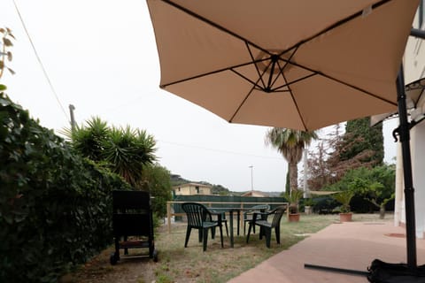 Patio, Garden, Garden view