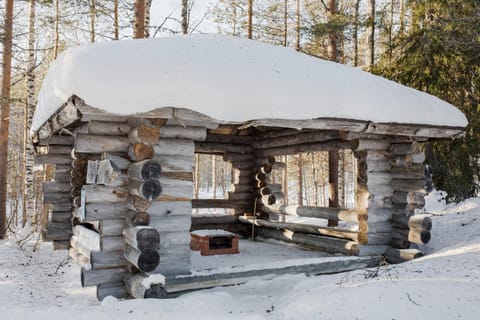 Property building, Natural landscape, Winter