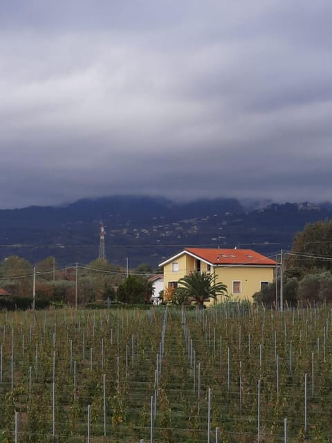 Property building, Natural landscape