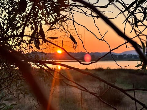 Natural landscape, Lake view, Sunset