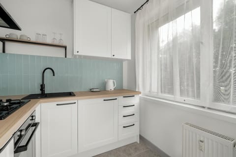 Kitchen or kitchenette, stove