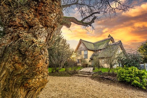 mulberry house House in South Norfolk District