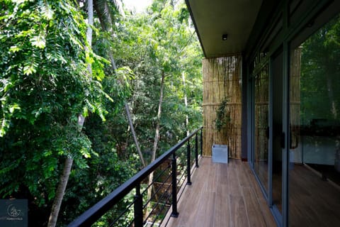 Balcony/Terrace, River view