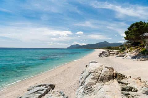 Nearby landmark, Beach