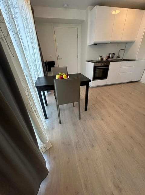 Lisas apartment, private new 2 rooms with big windows, share with nobody Apartment in Oslo