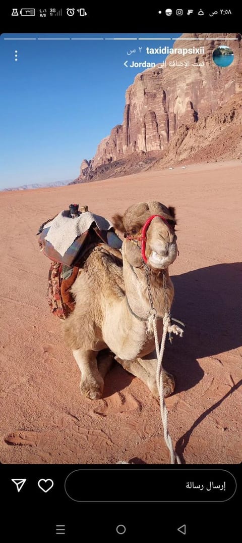 Wadi rum camp Bed and Breakfast in South District