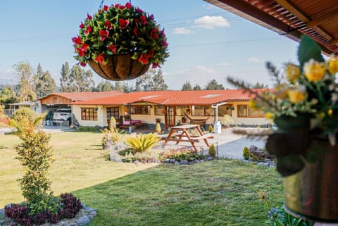 Patio, Natural landscape, Garden view